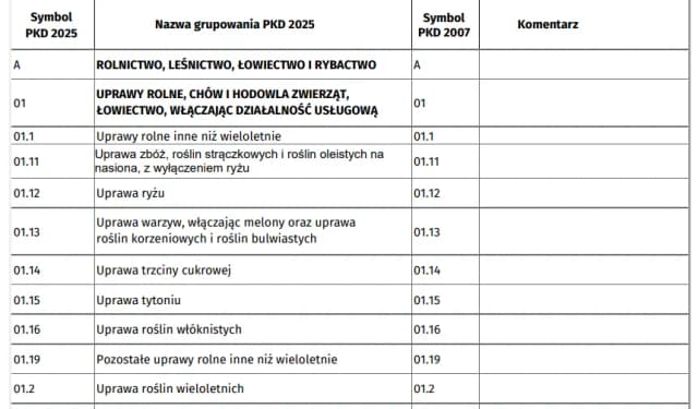 Przeważające PKD krok po kroku: Jak bez stresu ustalić główny kod działalności Przeważające PKD krok po kroku: Jak bez stresu ustalić główny kod działalności